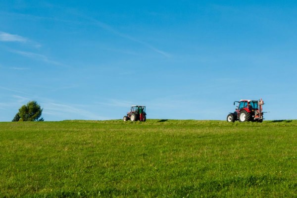 auf dem weg zum feld - (c) r plock.jpg